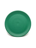 Plate 9"
