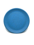 Plate 9"