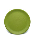 Plate 9"