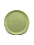 Plate 9"